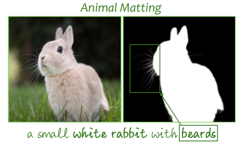matting teaser