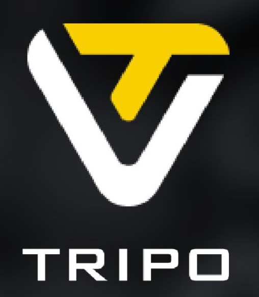 Tripo3D